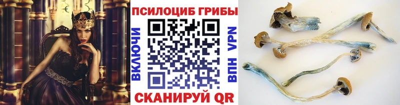 Псилоцибиновые грибы Psilocybine cubensis  Купить закладки  Топки 